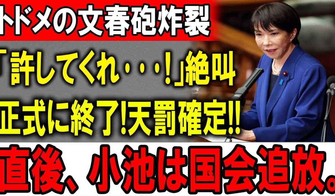 【小池百合子】想像を超える展開！高市、ついに激怒!!!!!小池へ電撃発表!!正式に終了!天罰確定!!