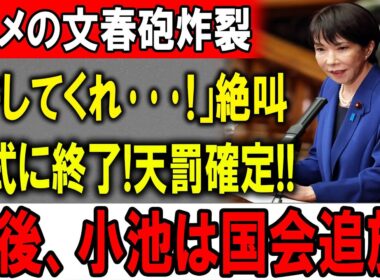 【小池百合子】想像を超える展開！高市、ついに激怒!!!!!小池へ電撃発表!!正式に終了!天罰確定!!