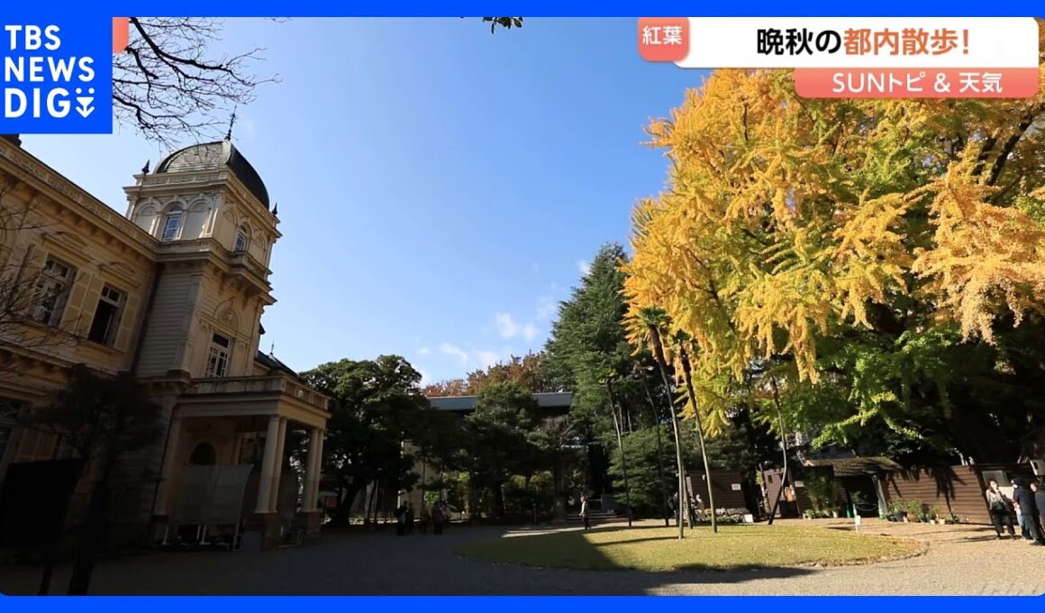 晩秋を楽しむ都内散歩　旧岩崎邸庭園～旧古河庭園～自由学園明日館【SUNトピ】｜TBS NEWS DIG