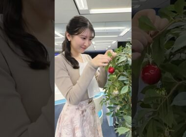 今日もお疲れ様！12月8日 #通勤タイパ #駒木結衣 #おつかれ