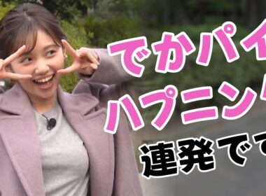 【田中瞳（テレビ東京アナウンサー）】頑張り屋の「モヤさま」アナウンサーは、「お硬い」のもお好き！
