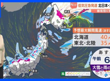 北日本・北陸で荒れた天気　あす（15日）にかけて大雪・暴風雪に警戒　北日本付近には急発達した2つの低気圧 北海道の東まで合流しながら進む予想｜TBS NEWS DIG