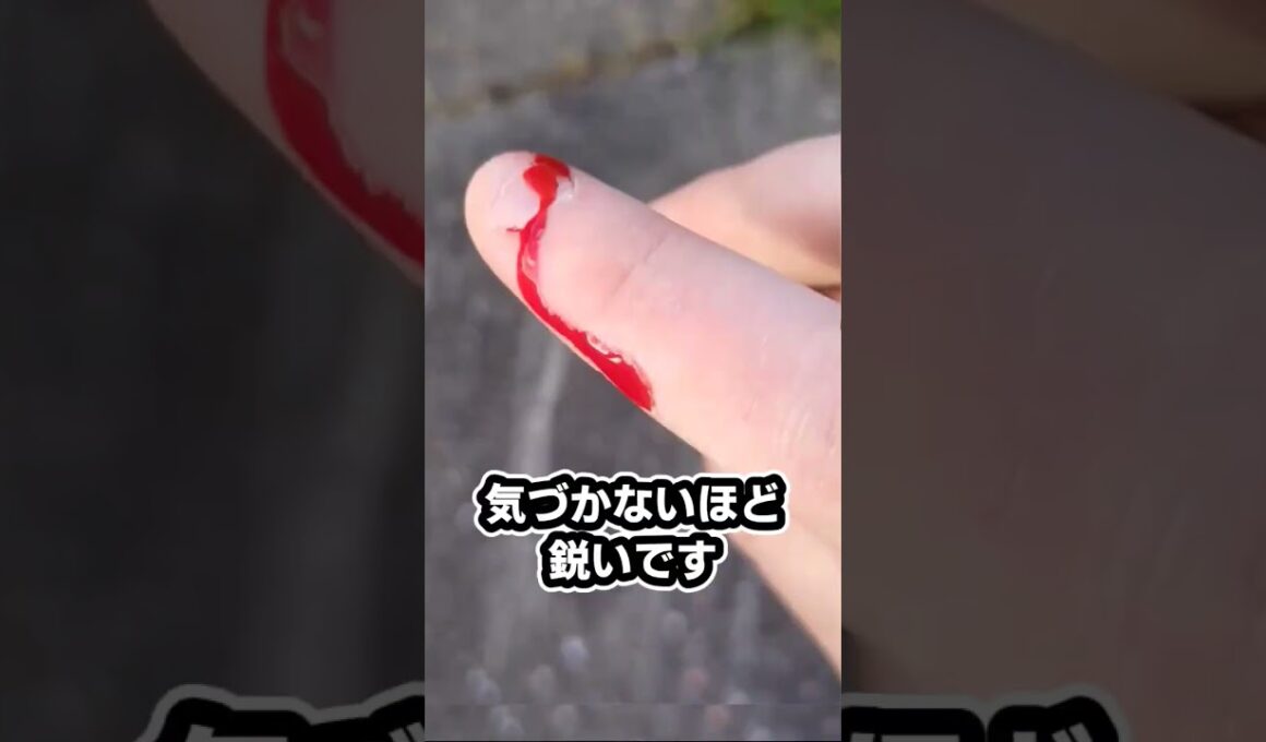 世界一鋭い刃物