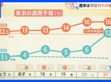 【12月17日 関東の天気】週末 季節外れの暖かさ｜TBS NEWS DIG