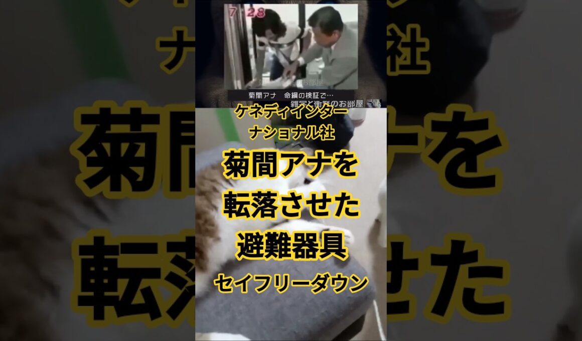 【ケネディ・インターナショナル社】菊間アナを転落させた避難器具『セイフリー・ダウン』 FIVEニャンズ🐾 #おすすめ #shorts