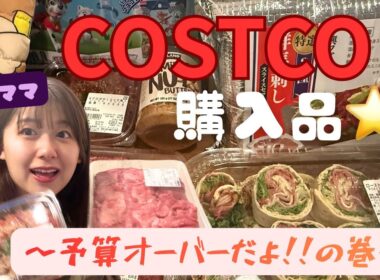 【購入品】コストコで予算オーバーした