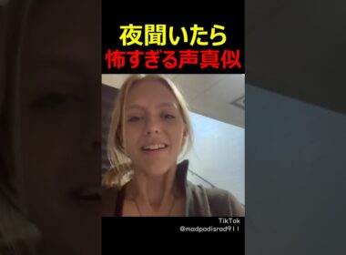 夜聞いたら怖すぎる声真似