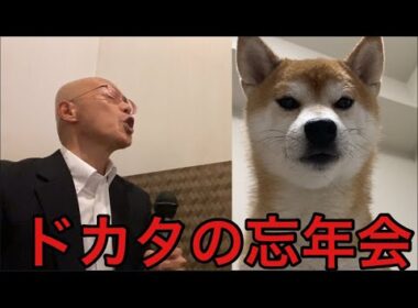 【柴犬飼い主55歳】2025年ドカタ集　忘年会