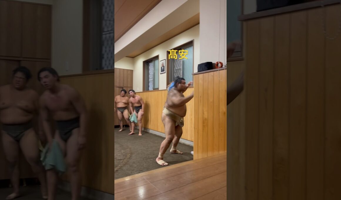 鉄砲柱に突っ張り#大迫力 #髙安　34歳　188cm.176kg 茨城県出身#田子ノ浦部屋 #田子ノ浦 #大相撲 #相撲 #sumo #力士 #高安 #高安関 #田子ノ浦親方 #江戸川区