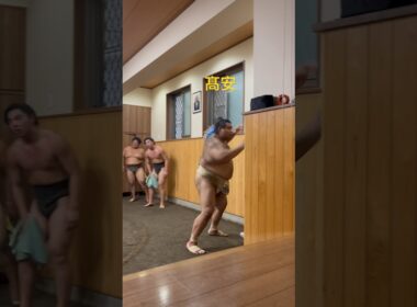 鉄砲柱に突っ張り#大迫力 #髙安　34歳　188cm.176kg 茨城県出身#田子ノ浦部屋 #田子ノ浦 #大相撲 #相撲 #sumo #力士 #高安 #高安関 #田子ノ浦親方 #江戸川区
