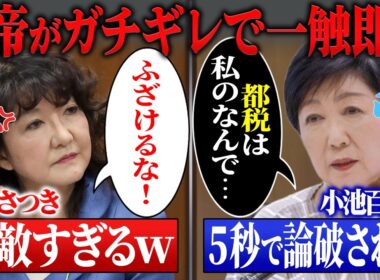 【小池百合子VS片山さつき】高市内閣を批判する小池百合子に片山さつきがブチギレ…鉄槌が下される#小池百合子#片山さつき#東京都