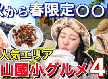 🇹🇼台北在住日台夫婦おすすめ⭐日本人観光客に大人気エリアの台湾グルメ4選④【中文字幕】【台湾#106】