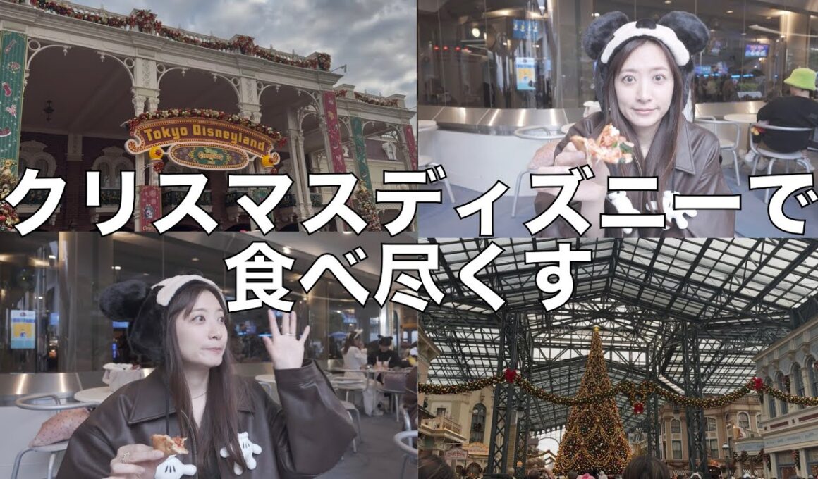 【クリスマスディズニー】やっぱりXmasのディズニーは最高だった