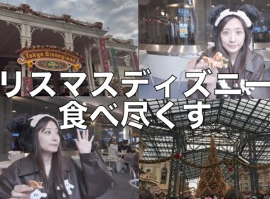 【クリスマスディズニー】やっぱりXmasのディズニーは最高だった