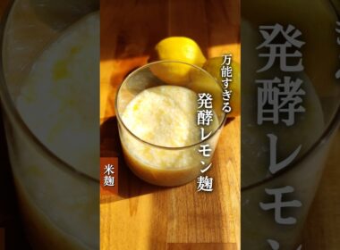 【万能すぎる　発酵レモン麹】国産レモンが売っている時期には、必ず作りたいレモン麹😋#麹レシピ #麹調味料 #麹料理 #発酵食 #腸活 #腸活レシピ#発酵レシピ #発酵好き #レモン # 発酵レモン麹 