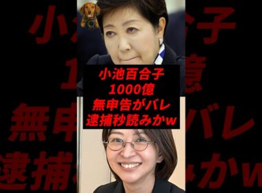 ㊗️20万再生！小池百合子、1000億無申告がバレ逮捕秒読みかw