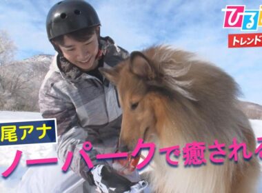 【ひるおび】長尾アナ・スノーパークで癒され企画！石打丸山スキー場・ヴェランダ石打丸山・黒姫高原スノーパーク