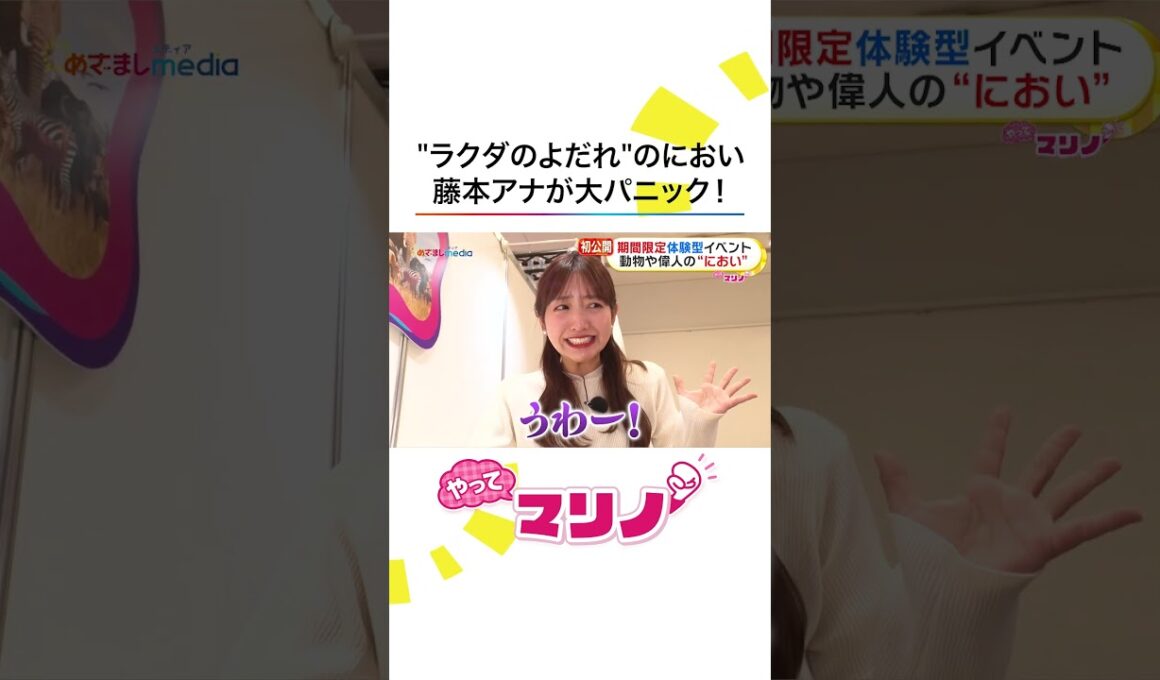 ラクダのよだれはどんなにおい？テレビ初公開！話題の期間限定・体験型イベントで #藤本万梨乃 アナが大パニック！「完璧」ナースコスプレにも挑戦 #めざましテレビ #やってマリノ