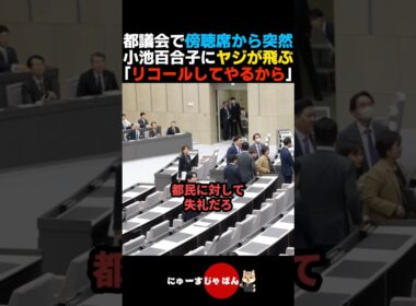 【議会騒然】都議会で傍聴席から突然小池百合子にヤジが飛ぶ【さとうさおり】
