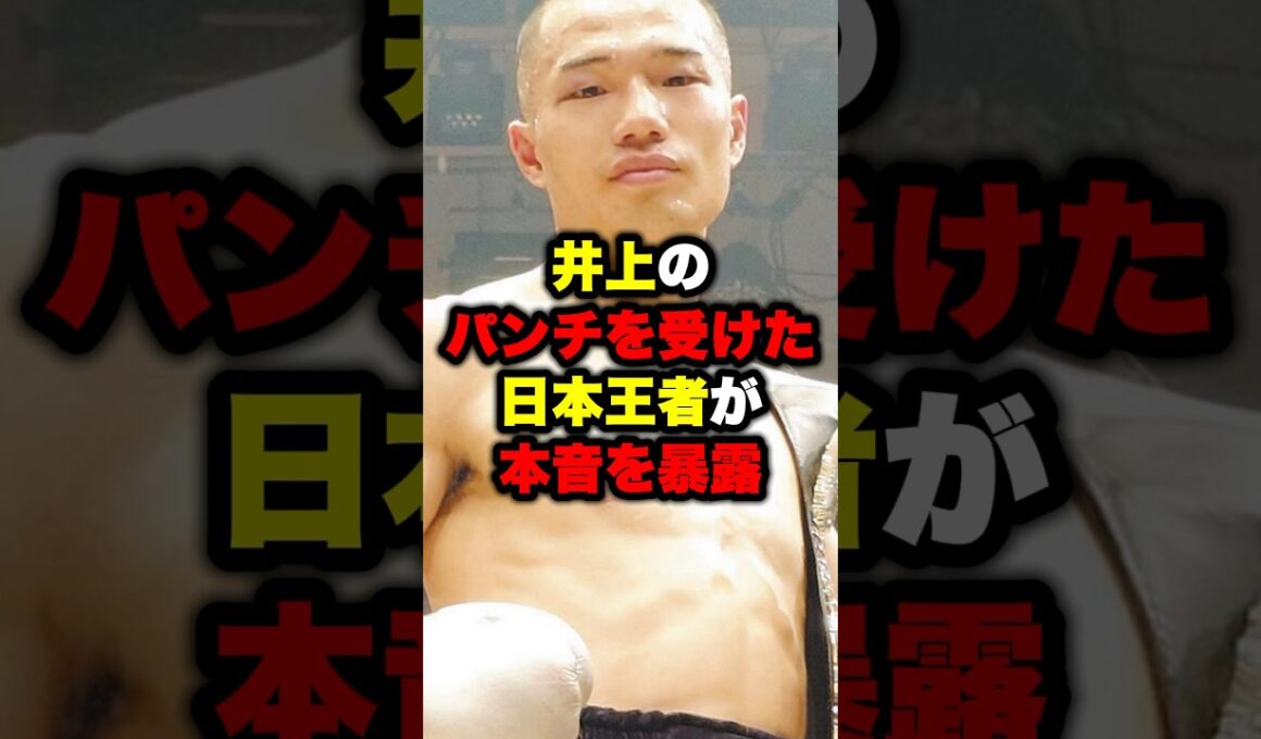 井上尚弥のパンチを受けた日本王者が本音を暴露#shorts #格闘技 #ボクシングニュース #井上尚弥 #boxing #ボクシング #アフマダリエフ