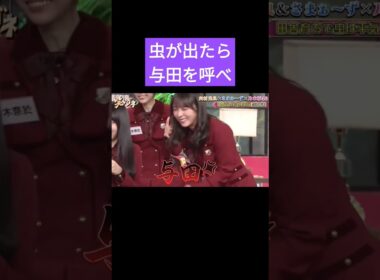 田舎育ちの与田ちゃんは虫もOK