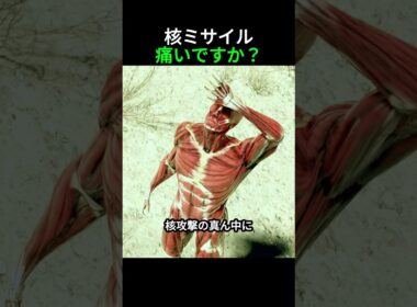 核ミサイルの具体的な痛み