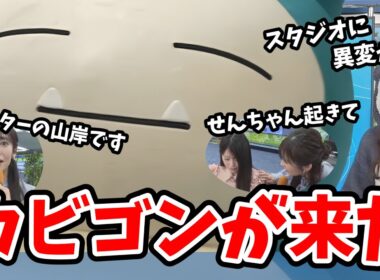 【小林李衣奈・山岸愛梨】ウェザーニュースのスタジオにカビゴンが来ました！【小川千奈】【ウェザーニュース切り抜き】