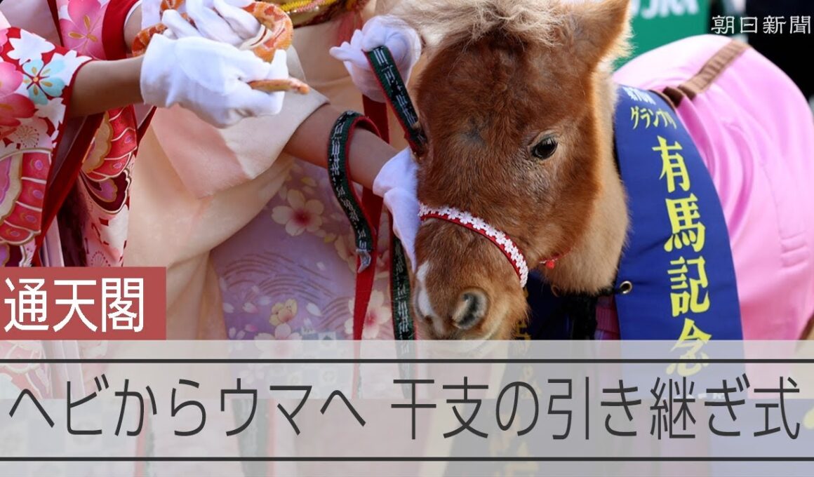 「インフレともウマく折り合いをつけて」　通天閣で干支の引き継ぎ式　ポニーとヘビが対面