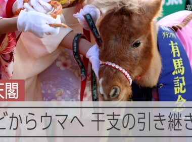 「インフレともウマく折り合いをつけて」　通天閣で干支の引き継ぎ式　ポニーとヘビが対面