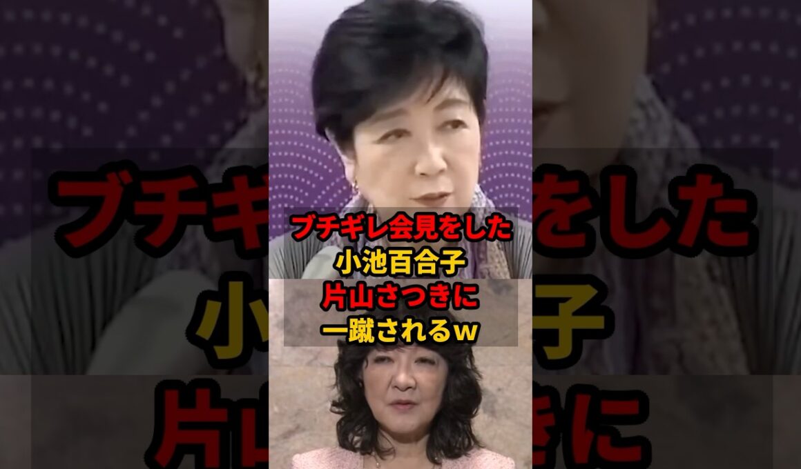 ㊗️250万再生!! 【小池百合子vs片山さつき】国にケンカを吹っかけた小池都知事に対する片山財務大臣のコメントが辛辣すぎたｗ #小池百合子 #片山さつき