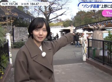 【画像】昨夜の田中瞳さん 　12.19