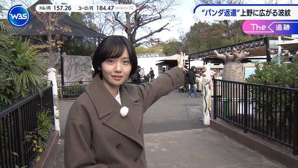 【画像】昨夜の田中瞳さん 　12.19