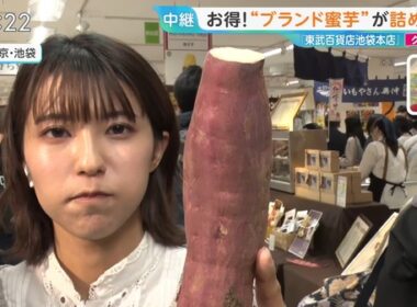 【画像】今日の御手洗菜々さん　12.11