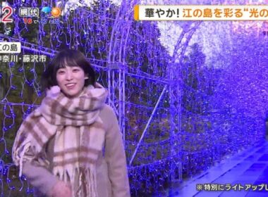 【画像】今日の今井春花さん　12.14