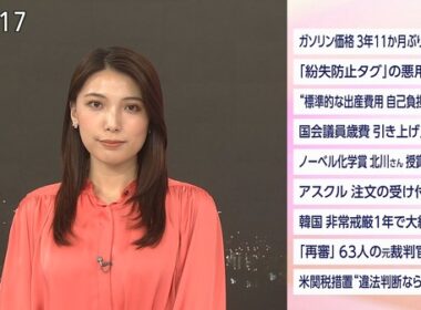 【画像】今日の豊島実季さん　12.4