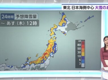 【画像】今日の田中美都さん 12.31