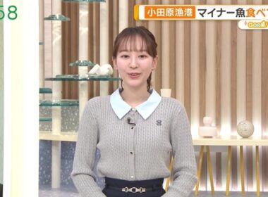 【画像】今日の佐々木若葉さん　12.10
