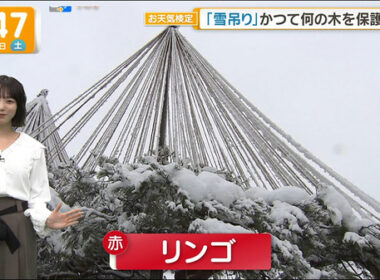 【画像】今日の今井春花さん　12.20