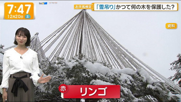【画像】今日の今井春花さん　12.20