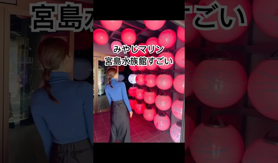 今日も宮島北大路魯山人美術館の近所をお散歩#宮島北大路魯山人美術館 #水族館 #宮島 #河村綾奈 #shorts