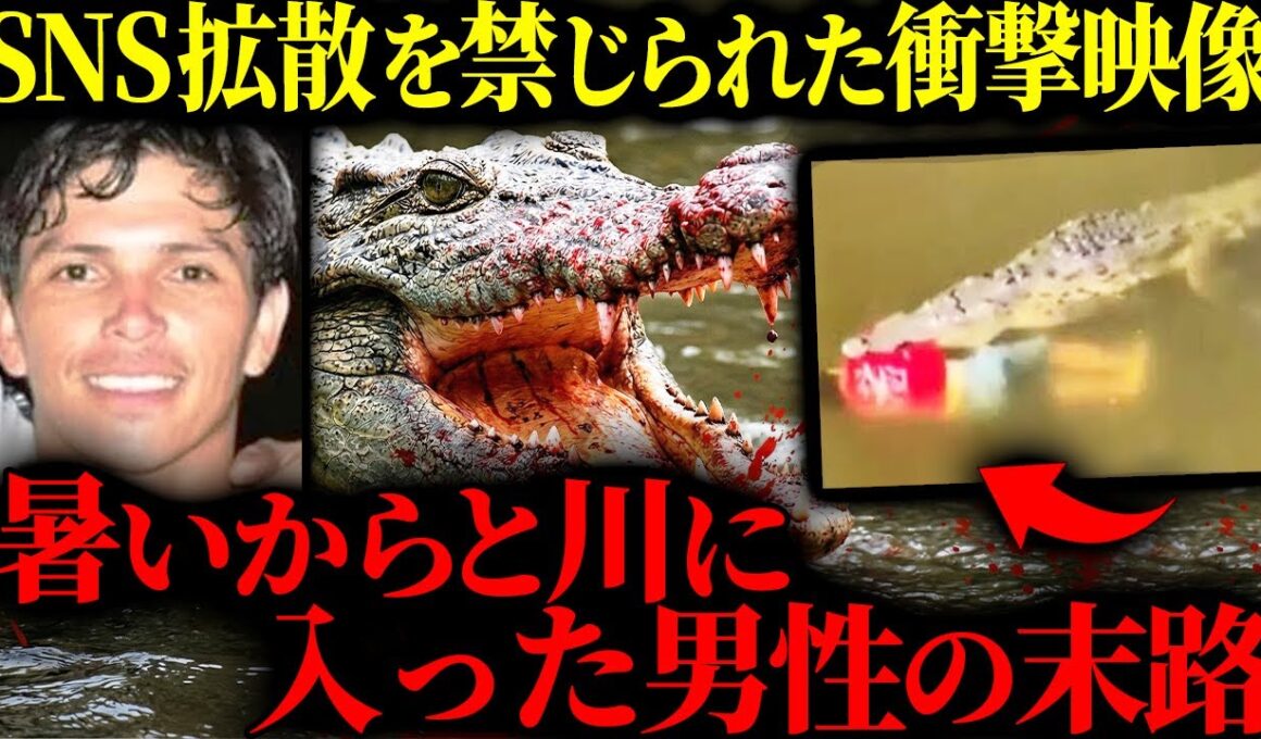【地獄絵図】平和な川が一瞬で「血の海」に…その映像があまりに衝撃的だった