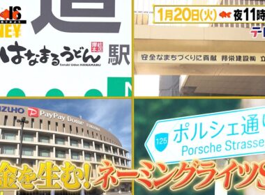 LIFE IS MONEY ～世の中お金で見てみよう～　予告