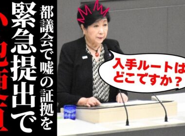 【小池百合子】都議会で完全失墜…学歴疑惑と沈黙の連鎖が都政崩壊を招く決定的瞬間 #都議会 #佐藤沙織里