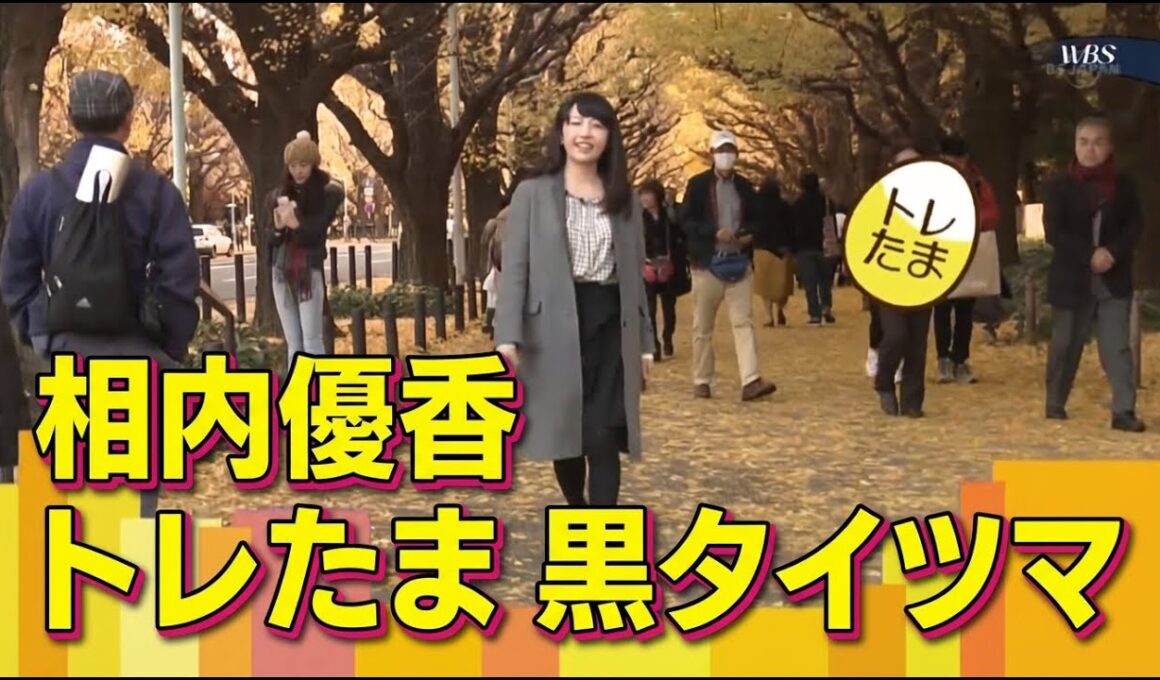 相内優香　大江麻理子　黒タイツ