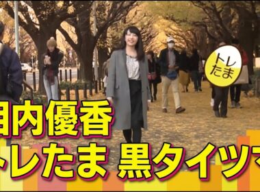 相内優香　大江麻理子　黒タイツ