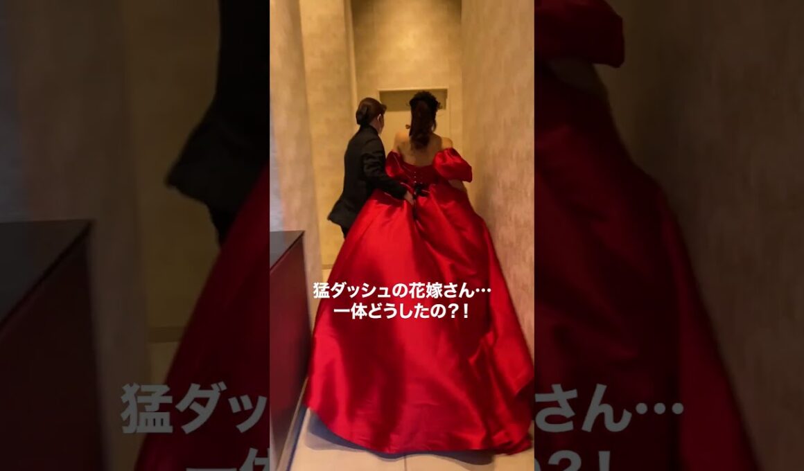 ドレス姿で猛ダッシュ！いったい何が!? #結婚式 #shorts