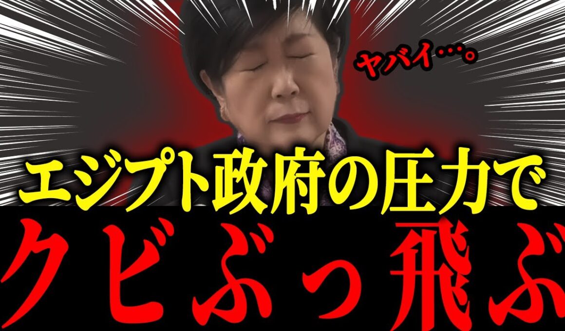 【小池百合子】※エジプト政府の圧力でトンデモナイ事態になりました…【佐藤沙織里 消費税 東京都議会本会議】