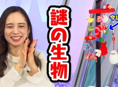 【内田侑希】ひなまつり給食の違いは何？【XT:高山奈々】〈WeatherNewsLive〉2023.3.3sunshine