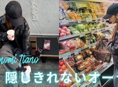 「隠しきれないオーラ」板野友美、かごを手にスーパーで買い物　親近感わく姿に「家庭的」