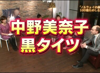 中野美奈子 黒タイツ